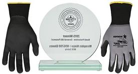 ISHN-ACW-Award2015-v2